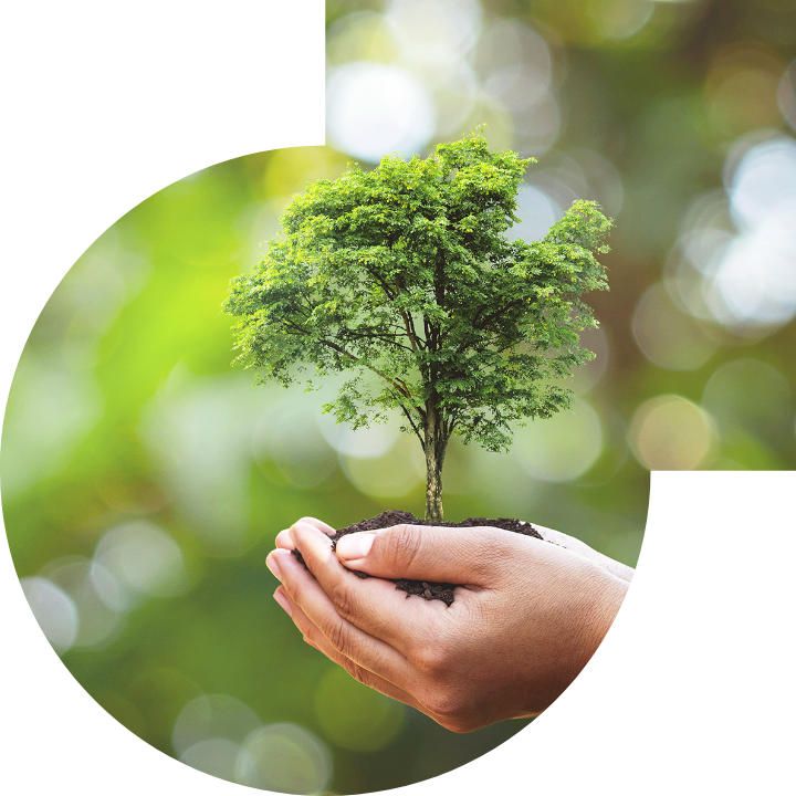 关怀人类、文化、环境与社会